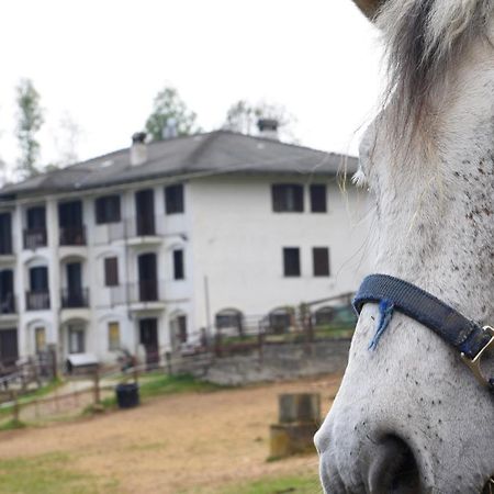 Bed and Breakfast Favetto Family Ranch Rueglio Экстерьер фото