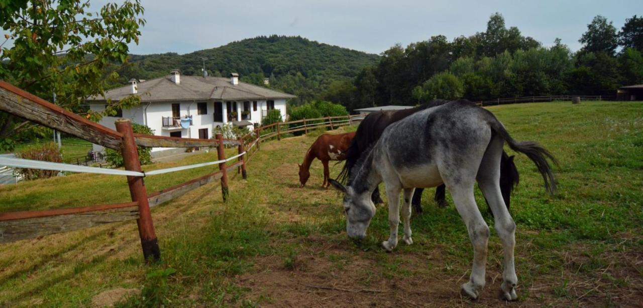 Bed and Breakfast Favetto Family Ranch Rueglio Экстерьер фото