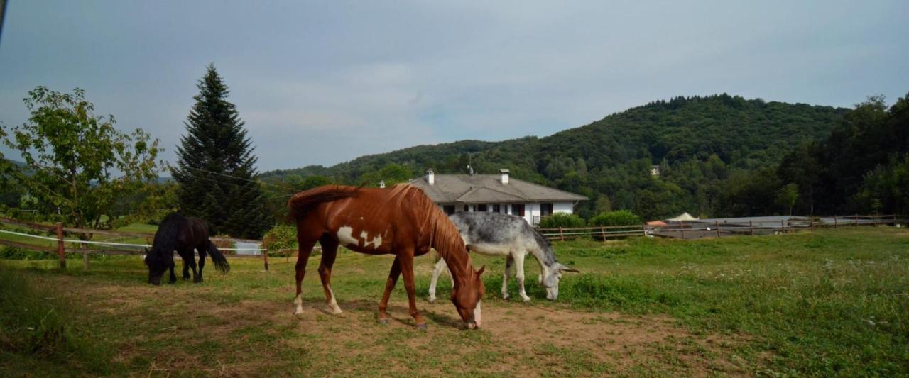 Bed and Breakfast Favetto Family Ranch Rueglio Экстерьер фото