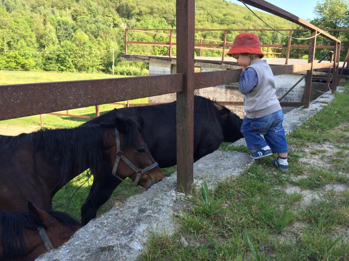 Bed and Breakfast Favetto Family Ranch Rueglio Экстерьер фото